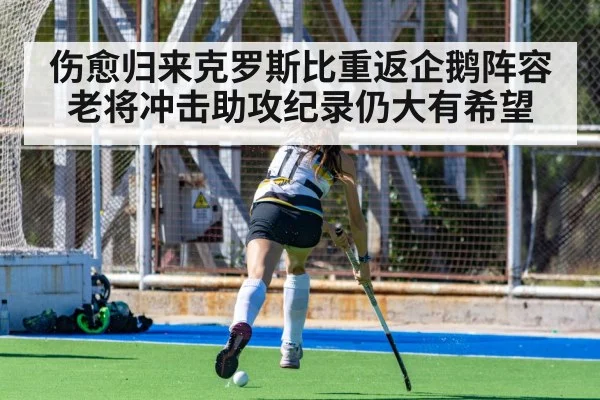 伤愈归来克罗斯比重返企鹅阵容 老将冲击助攻纪录仍大有希望